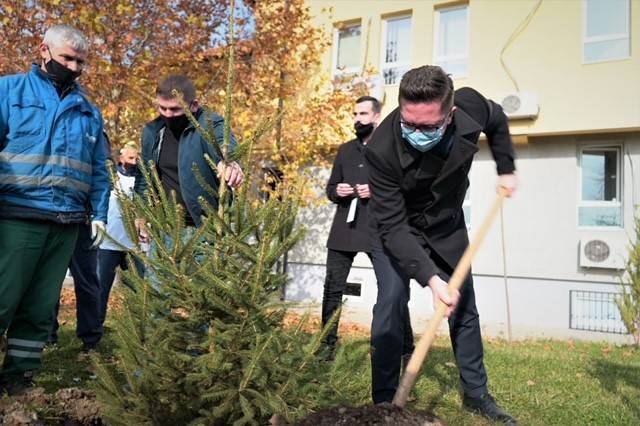 Kosova Genelinde 1.8 Milyon Fidan Dikilecek