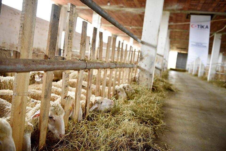 TİKA’dan Kosovalı Çiftçilere Destek