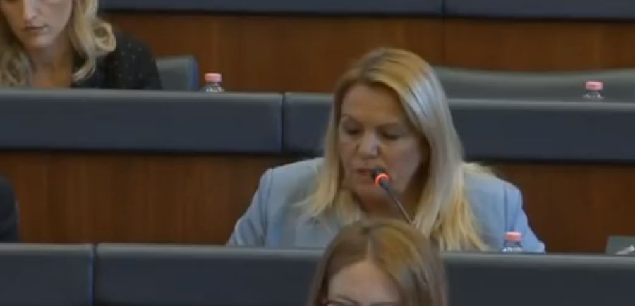 AAK, Meclis’in Feshine Değil Başbakanın Görevden Alınması Oylamasından Yana