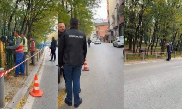 Müfettişlik, Kent Parkındaki Parmaklıkların Kaldırılması Eylemine Başladı
