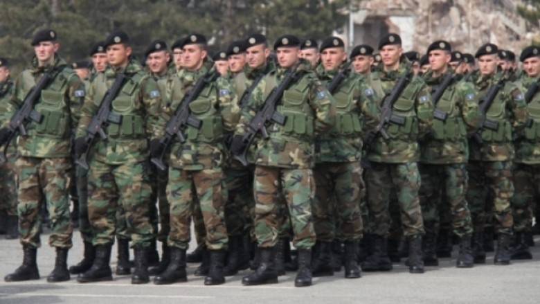 Kosova Silahlı Kuvvetlerinin İşlevsel Olması İçin 800 milyon Avro Lazım