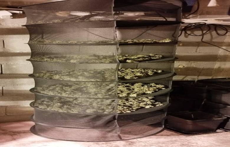 50 Kg Uyuşturucu Ele Geçirildi, 6 Kişi Tutuklandı