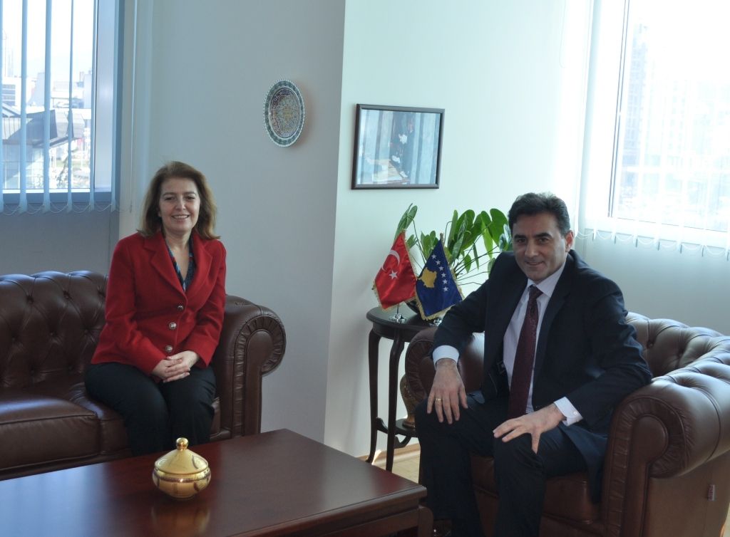 Türkiye Nüfus Sayımını da Desteklemeye Hazır