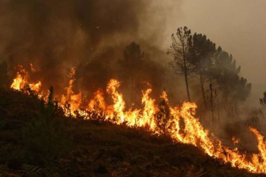 Polis 40'tan Fazla Yangın Vakasıyla İlgili Soruşturma Başlattı