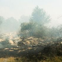 2.000 Hektarlık Ormanlık Alanı Yandı