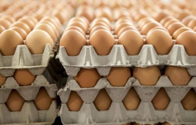 Kosova'da Arnavutluk Üretimi Yumurtalar İstenmiyor