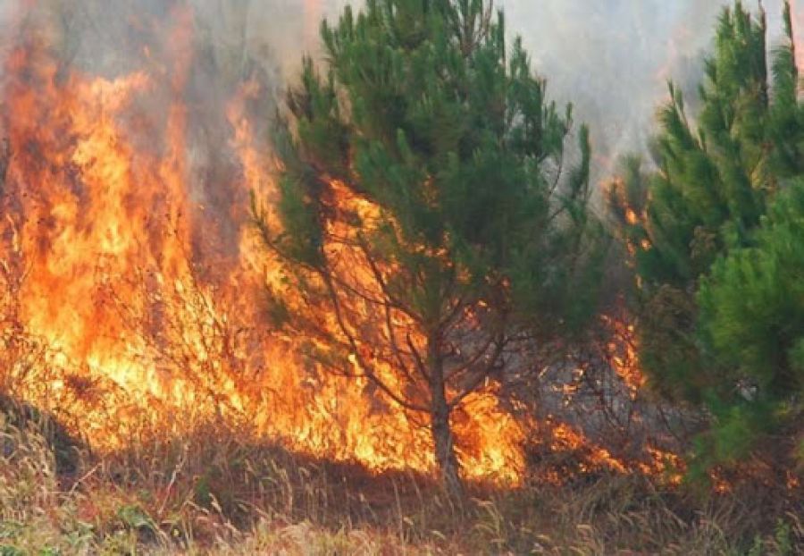 Kosova'da 25 Yangın Noktası Kaydedildi: 3'ü Hala Aktif