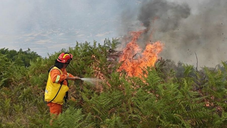 Viti’de Köyde Yangın Kontrolden Çıktı – Bir Kişi Gözaltına Alındı