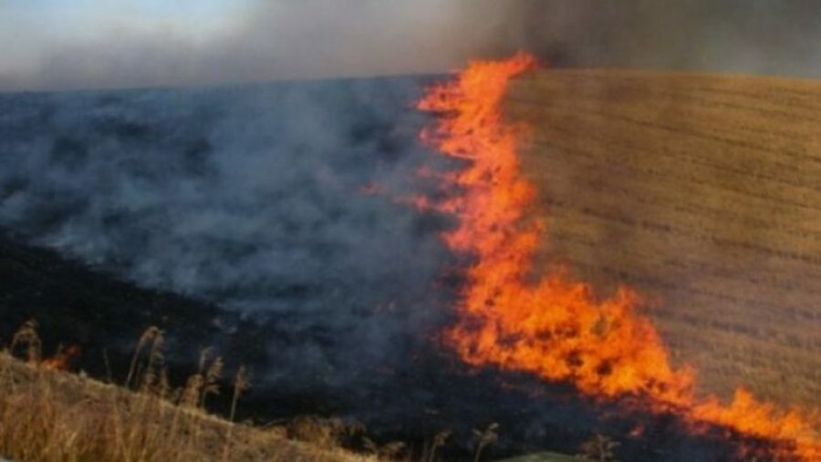 Yangınlar Tehlikeli Boyuta Ulaştı, Vatandaşlar Daha Dikkatli Olmalı